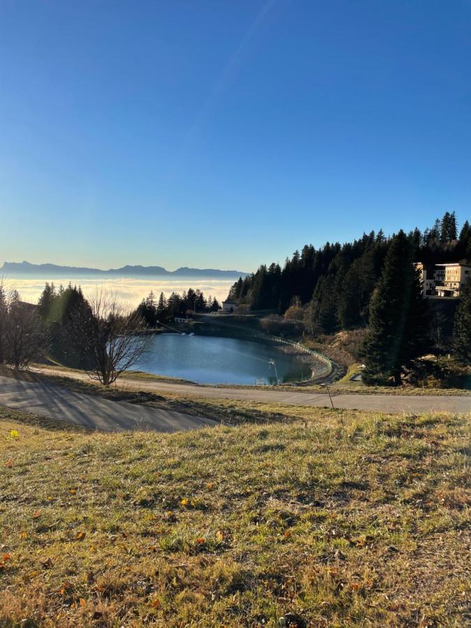 Studio Cabine Chamrousse Appartement *